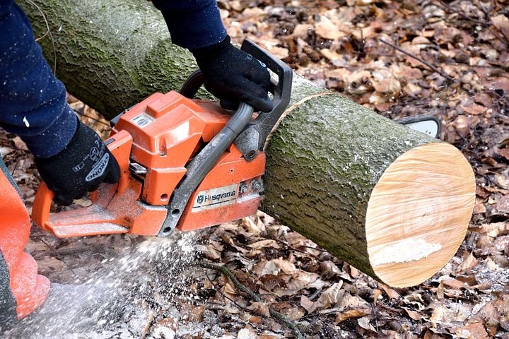 Medina Stump Grinding business image in Medina, Ohio